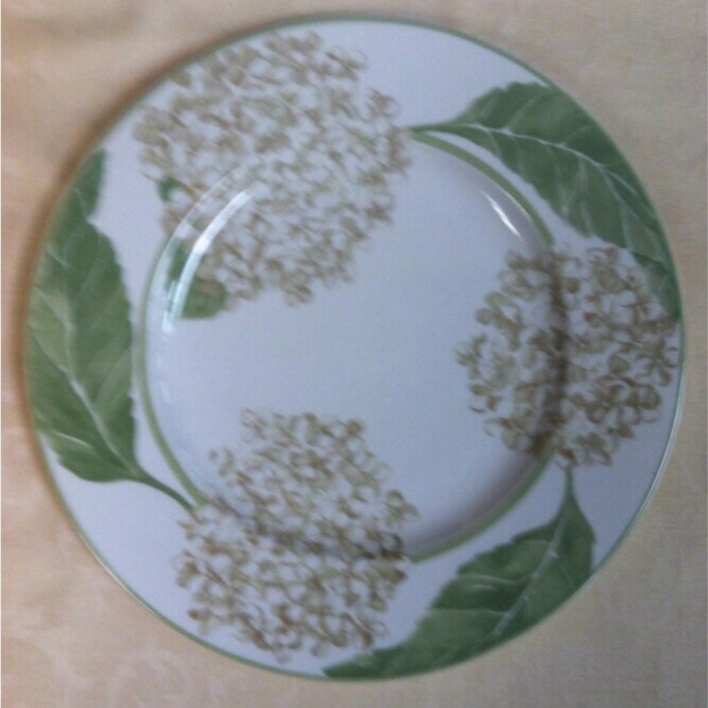 Block China “Garden Grove” by Gear Dinner Plate